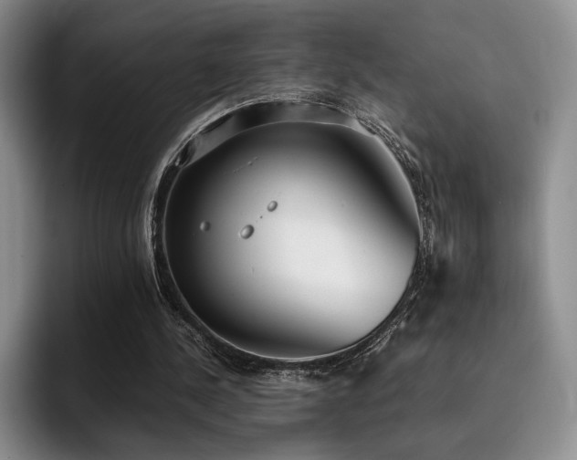 X0000092330244200709141424