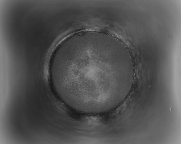 X0000092330247200709141424