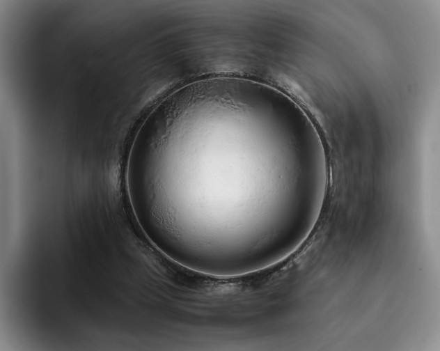 X0000092330249200709141424