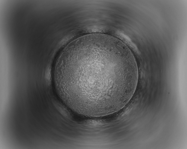 X0000092330250200709141424