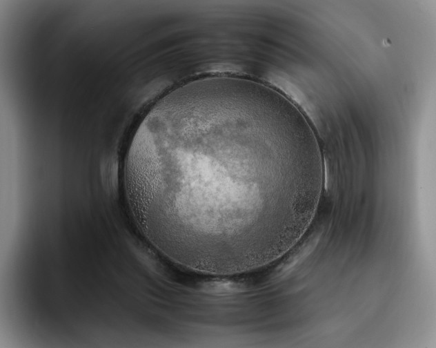 X0000092330253200709141424