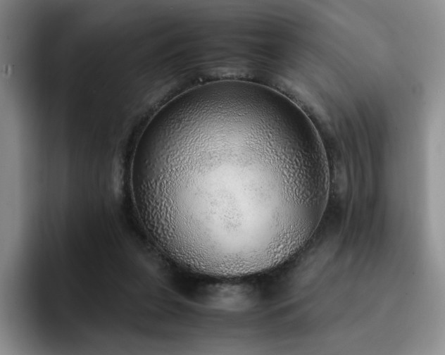 X0000092330255200709141424