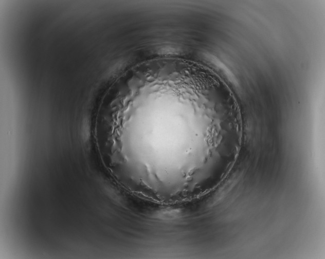 X0000092330257200709141424