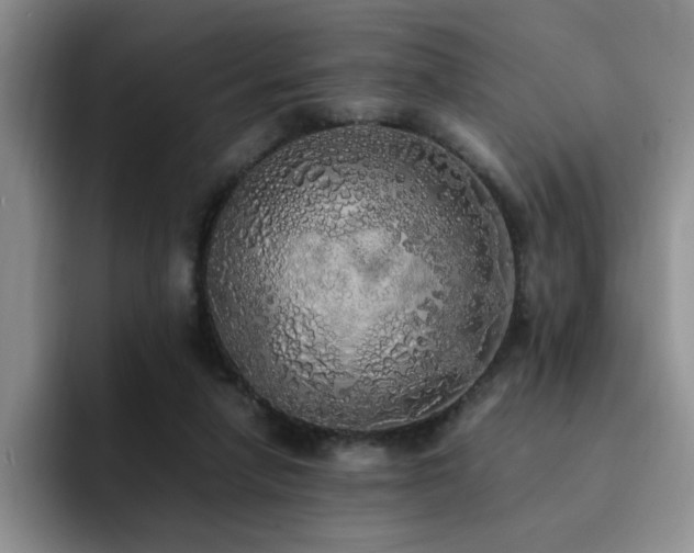 X0000092330258200709141424