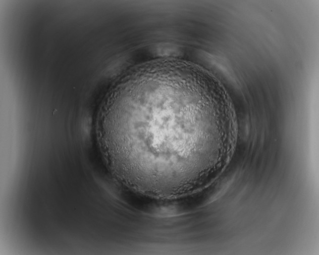X0000092330263200709141424