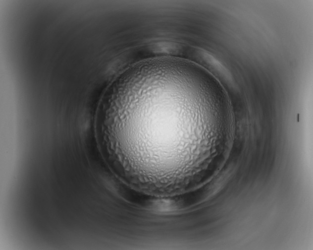 X0000092330265200709141424