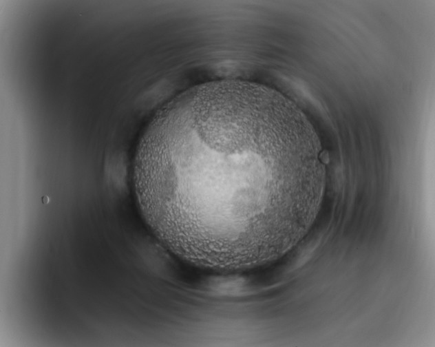 X0000092330266200709141424