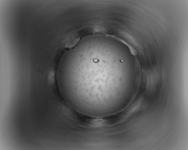 X0000092330269200709141424