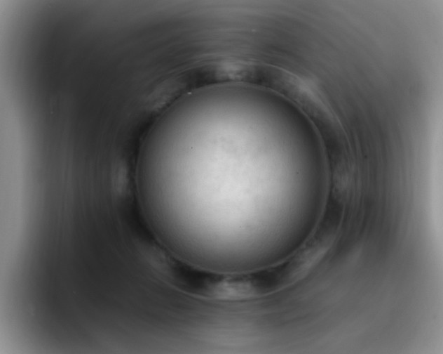 X0000092330270200709141424