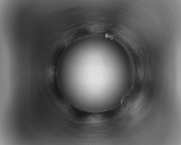 X0000092330271200709141424