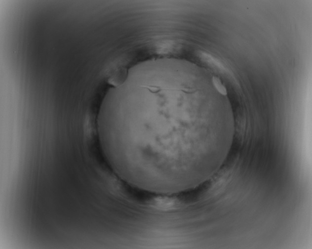 X0000092330272200709141424