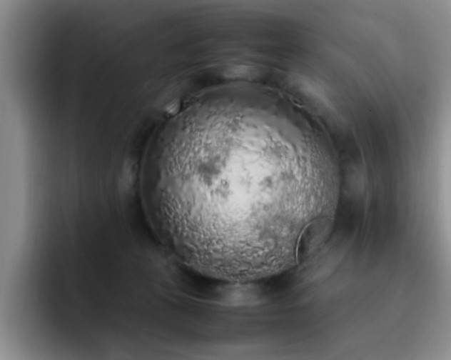X0000092330273200709141424