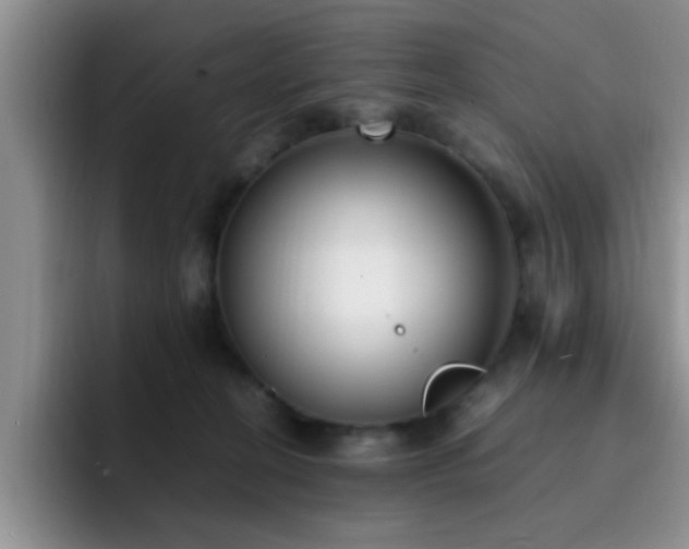 X0000092330274200709141424