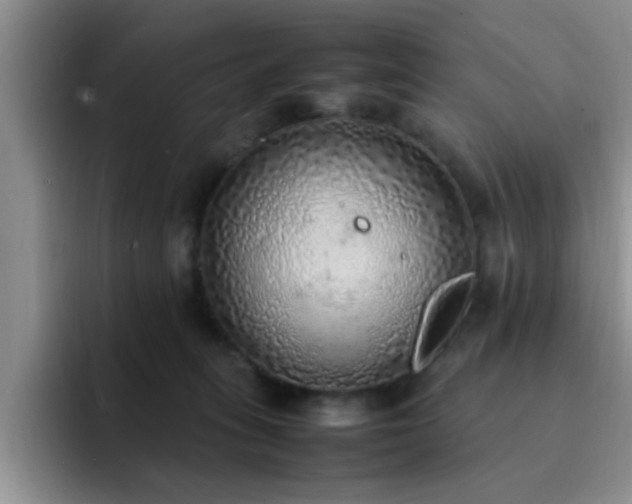 X0000092330275200709141424