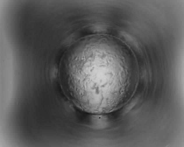 X0000092330281200709141424