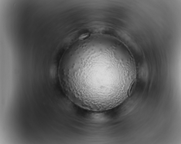 X0000092330283200709141424
