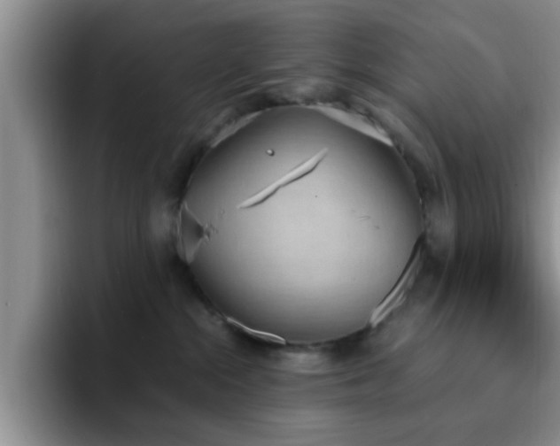 X0000092330284200709141424