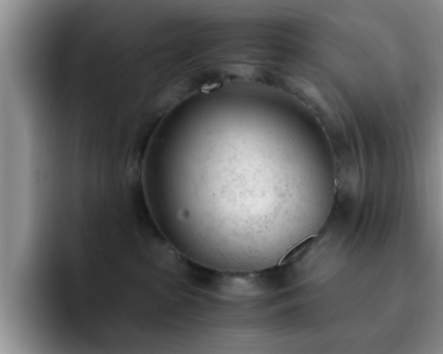 X0000092330285200709141424