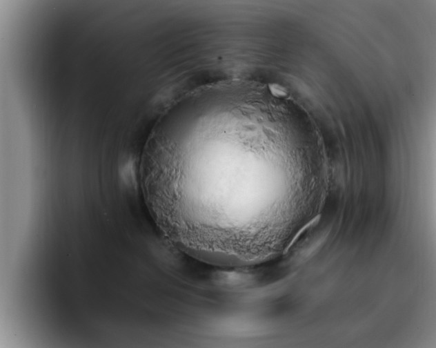X0000092330286200709141424