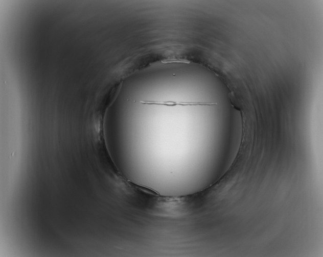 X0000092330288200709141425