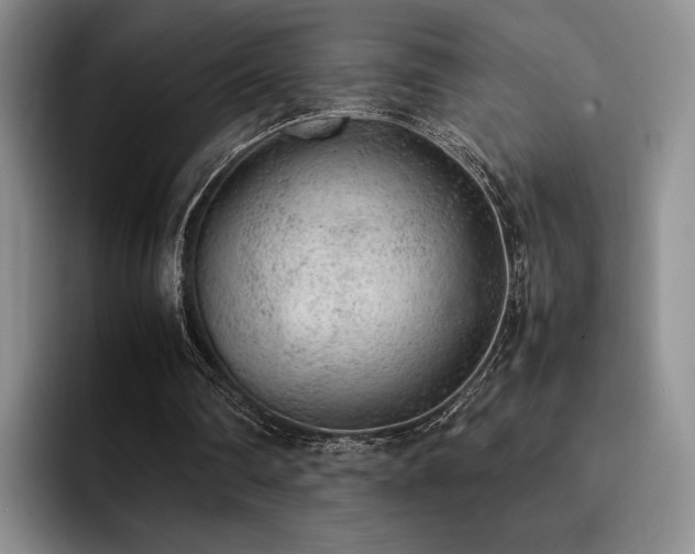 X0000092330290200709141424