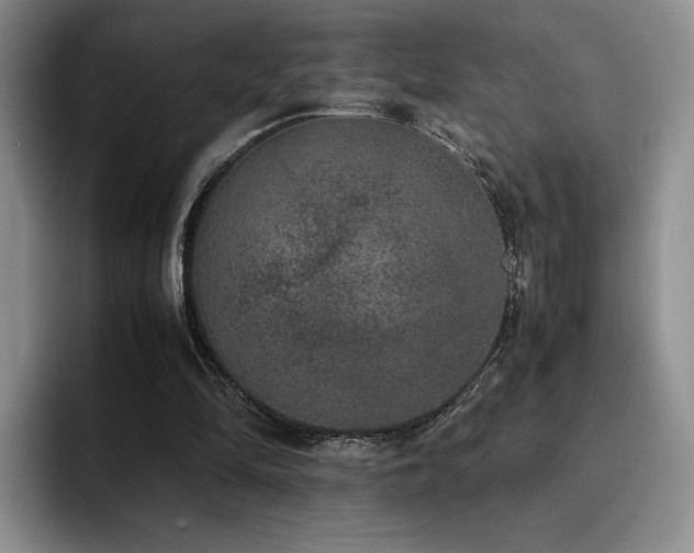 X0000092330294200709141424