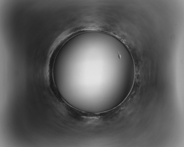 X0000092330296200709141424