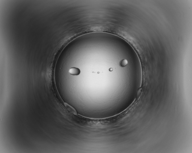 X0000092330297200709141424