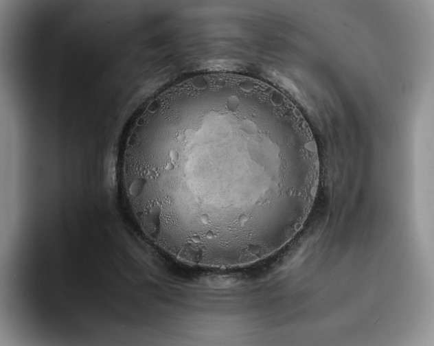 X0000092330299200709141424