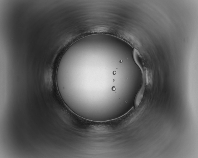 X0000092330300200709141424