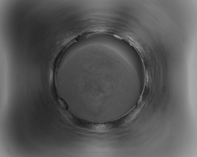 X0000092330301200709141424