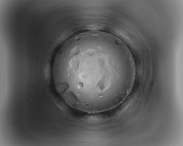 X0000092330303200709141424