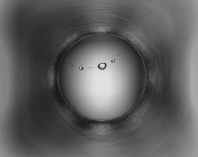 X0000092330304200709141424