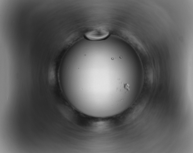 X0000092330312200709141424