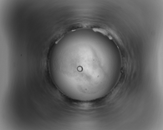 X0000092330313200709141424
