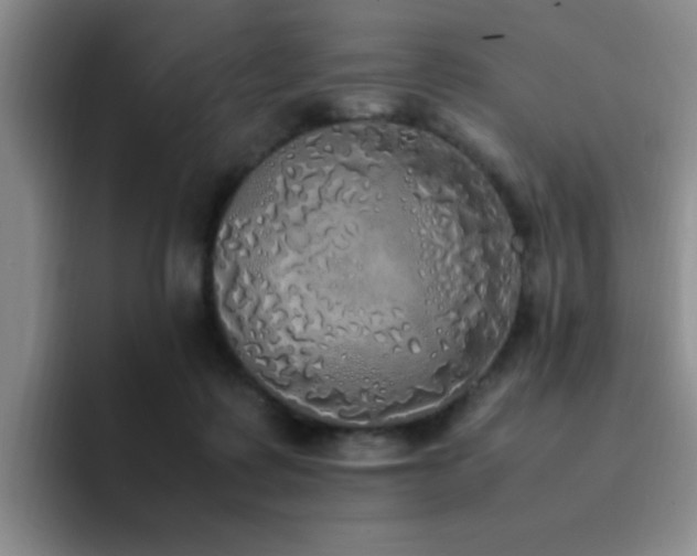 X0000092330315200709141424