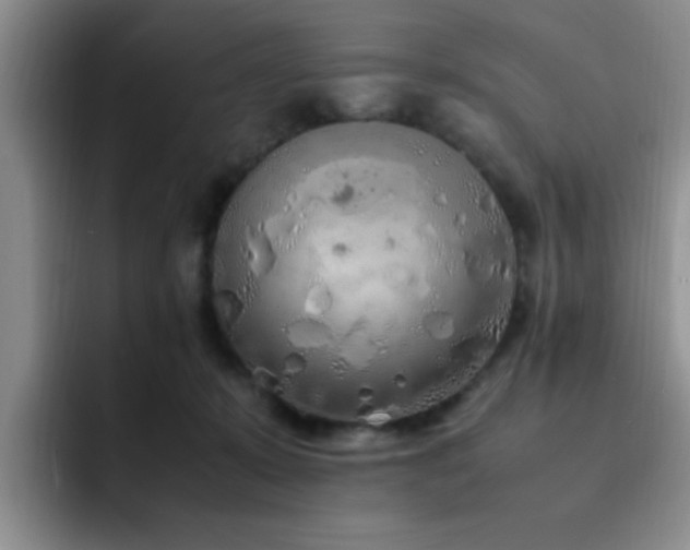 X0000092330319200709141424