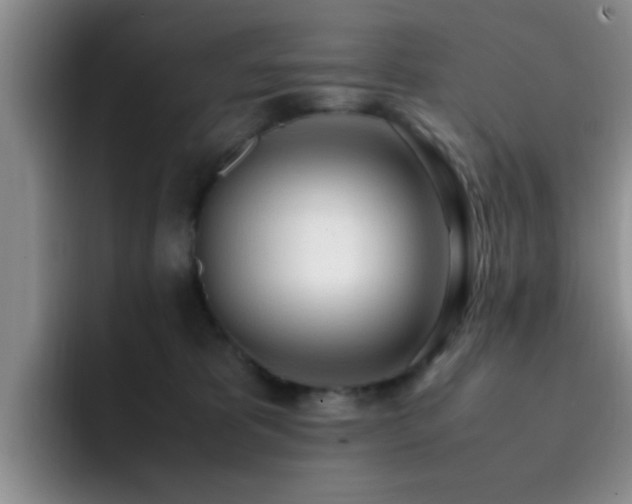 X0000092330325200709141423