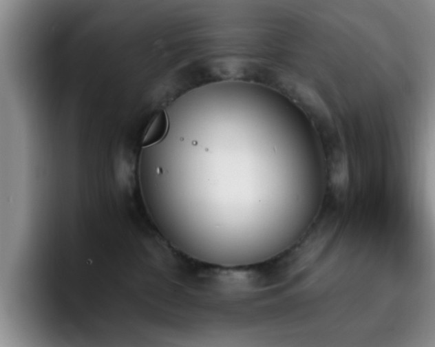 X0000092330332200709141423