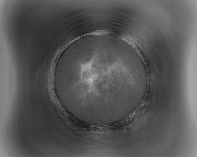X0000092330337200709141423