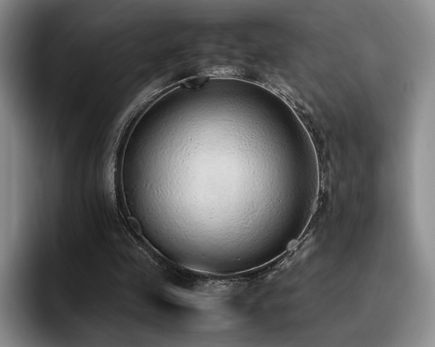 X0000092330341200709141423