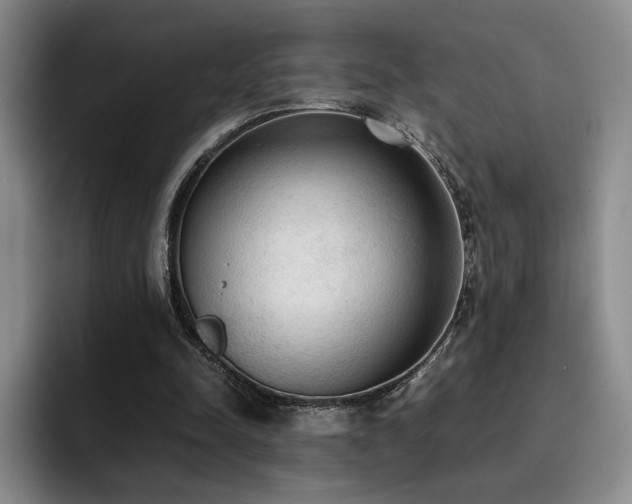X0000092330342200709141423