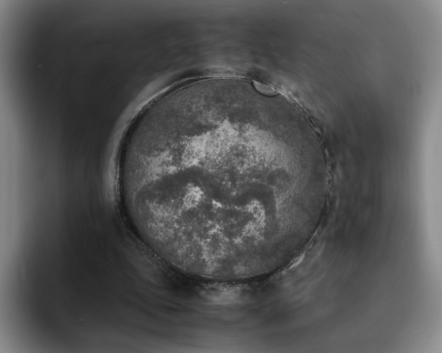 X0000092330343200709141423