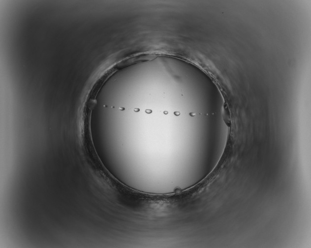 X0000092330344200709141423