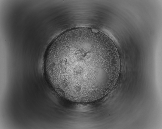 X0000092330346200709141423