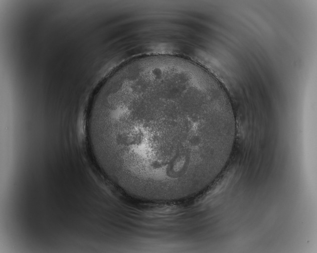X0000092330347200709141423