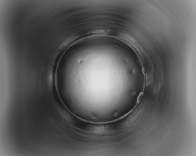 X0000092330349200709141423