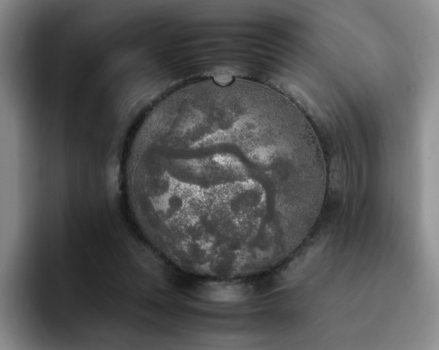 X0000092330351200709141423