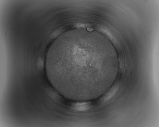X0000092330357200709141423