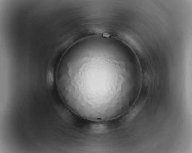X0000092330358200709141423